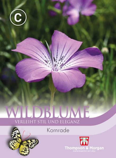 Wildblume Kornrade