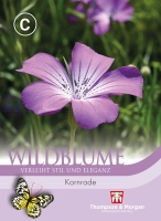 Wildblume Kornrade