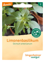 Bio-Limonenbasilikum
