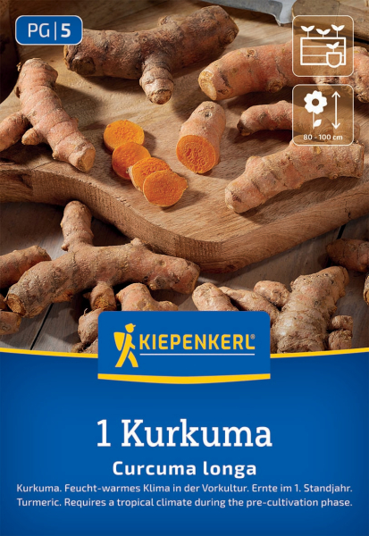 Kurkuma Curcuma longa