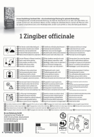 Ingwer Zingiber officinalis