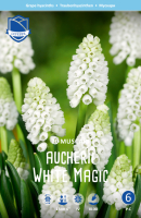 Muscari White Magic 20stk.