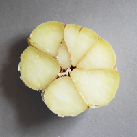 Bio-Elefantenknoblauch 1 Zehe lose