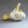 Bio-Elefantenknoblauch 1 Zehe lose