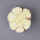 Bio-Knoblauch Germidour 10 Knollen lose