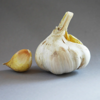 Bio-Elefantenknoblauch 10 Zehen lose