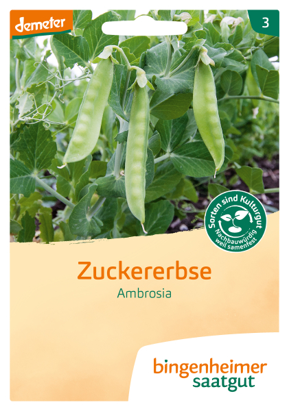 Bio-Zuckererbse Ambrosia