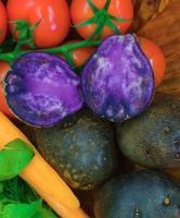 Blauer Schwede p.Stück Bioware