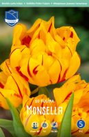 Tulpe Monsella 25cm 10 Stk.