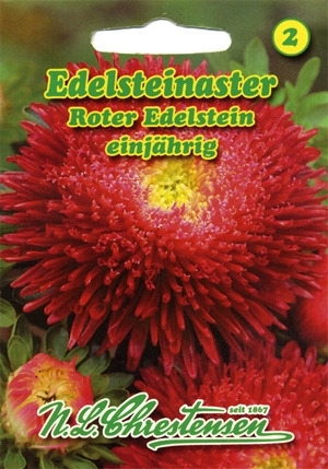 Aster Roter Edelstein MHD 01/25