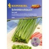 Schnittknoblauch Fat Leaf