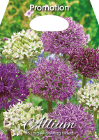 Allium Mischung 15St.