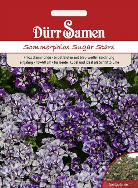Phlox Sommer blau-weiss MHD 12/2025