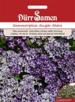 Phlox Sommer blau-weiss MHD 12/2025
