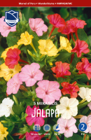 Wunderblume Mirabilis jalapa 5St.