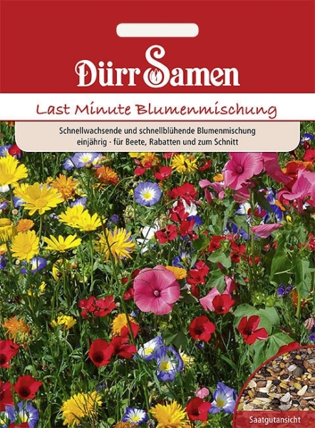 Blumen Last Minute Mix