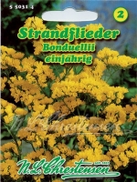 Statice gelb MHD 01/26