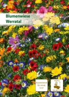 Blumenwiese Werratal 5m²