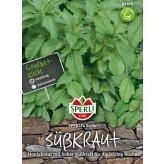 Süßkraut / Stevia