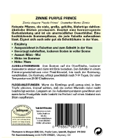 Zinnie Purple Prince