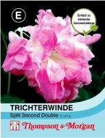 Trichterwinde "Split Second Double"