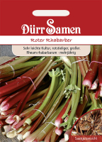 Rhabarber rot