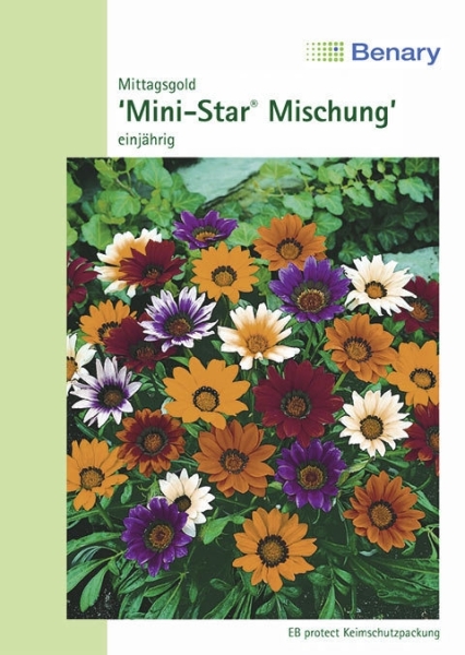 Mittagsgold Mini Star