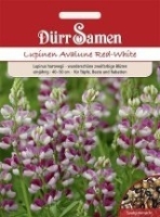 Lupine Avalune Red-White