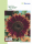 Sonnenblume Floristan ca.100cm