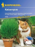 Katzengras 5 Saatscheiben