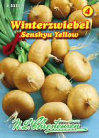 Winterzwiebel Senshyu Yellow