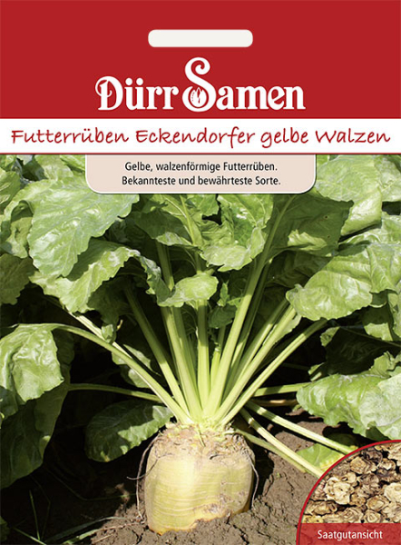 Futterrübe gelbe Walze 12/25
