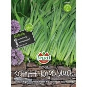 Schnittknoblauch Fat Leaf