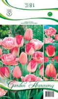 Kollektion rosa Tulpen 18St.