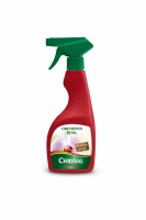Orchideen Vital Spray 500ml
