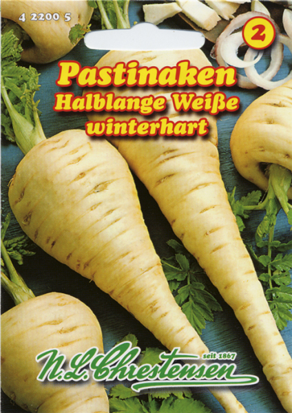 Pastinaken Halblange Weiße