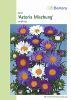 Aster Astoria Mix 70cm MHD 12/25