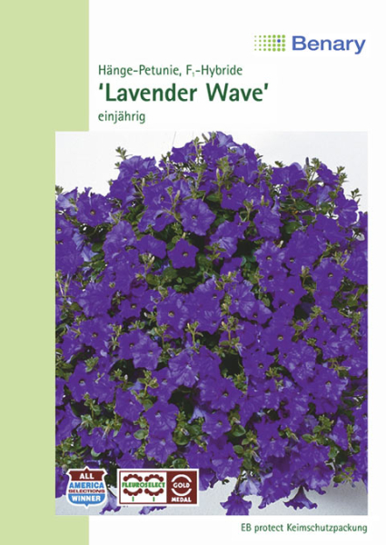 Petunie WonderWave® F1 Lavender, einjährig