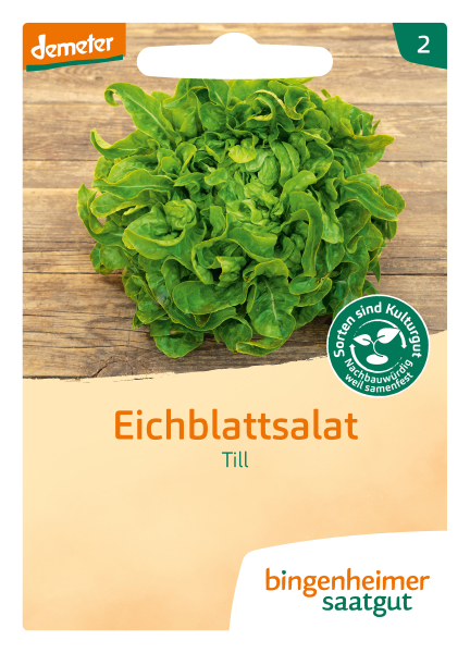 Bio-Eichblattsalat Till