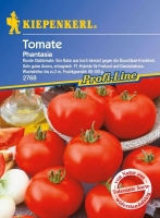 Tomate Phantasia