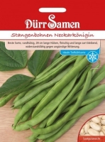 Stangenbohne Neckarkönigin