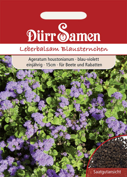 Leberbalsam Blausternchen MHD 12/24