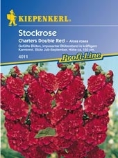 Stockrosen Double Red