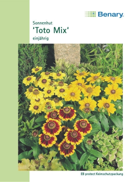 Sonnenhut Toto Mix 25cm