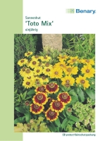 Sonnenhut Toto Mix 25cm