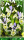 Iris histrioides Katherine Hodgkin