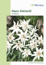 Edelweiss MHD 12/25