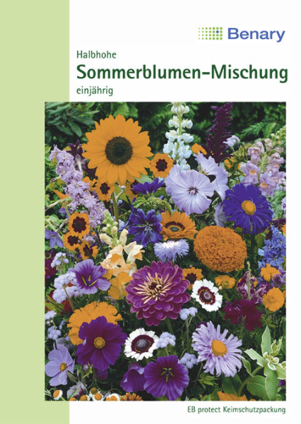 Sommerblumen 60-80cm für ca.2m²