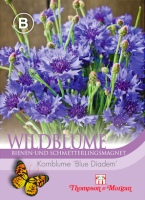 Wildblume Kornblume Blue Diadem