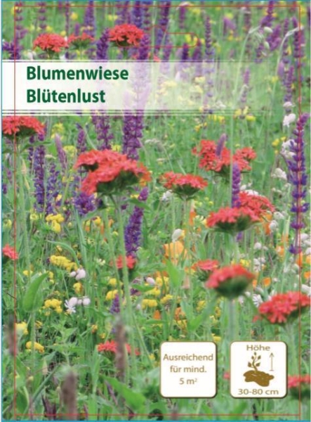 Blumenwiese Blütenlust 400m²